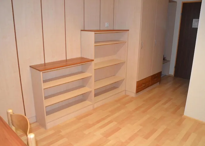 Hostel Mladinski Dom - *