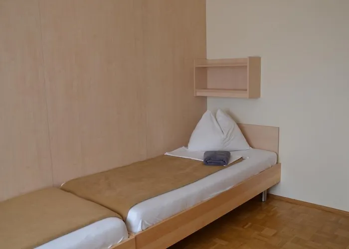 Mladinski Dom - Hostel *